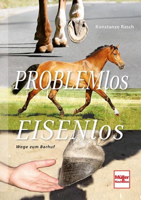 Cover-Bild Problemlos Eisenlos
