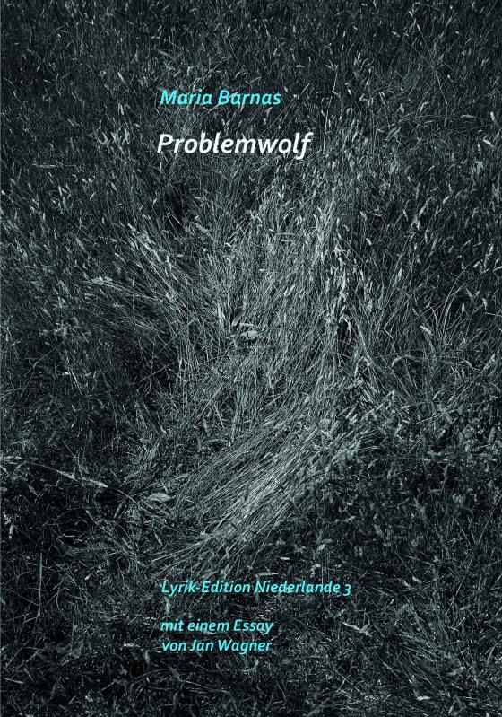 Cover-Bild Problemwolf
