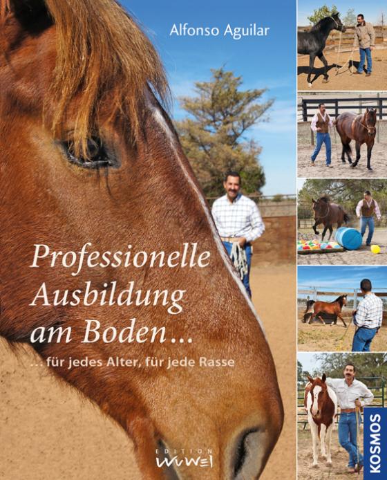 Cover-Bild Professionelle Ausbildung am Boden