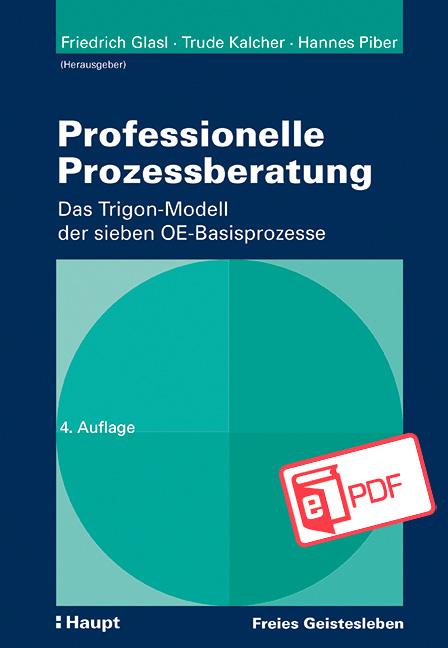 Cover-Bild Professionelle Prozessberatung