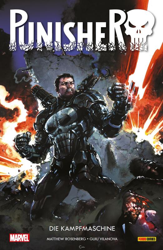 Cover-Bild Punisher