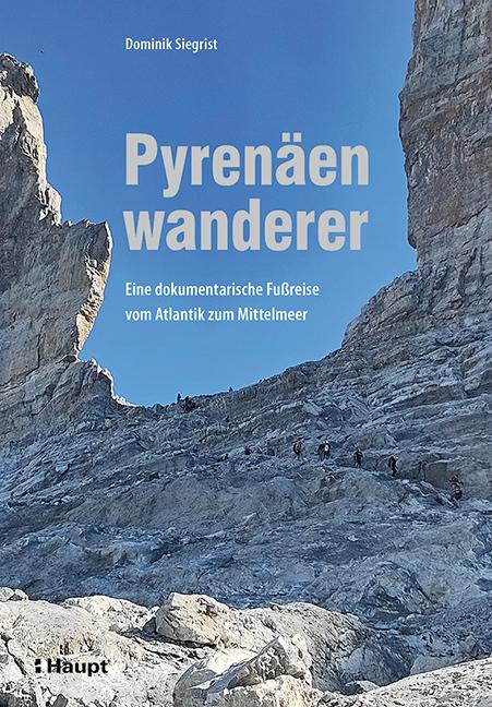 Cover-Bild Pyrenäenwanderer