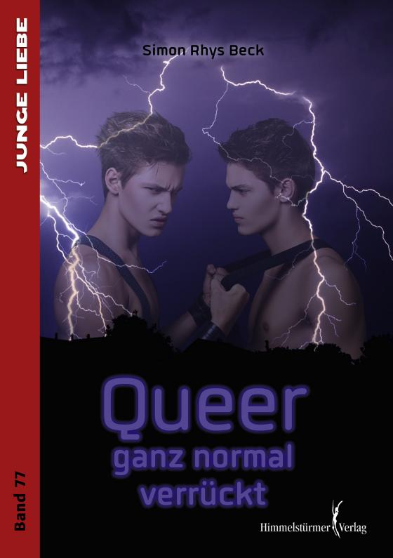 Cover-Bild Queer - ganz normal verrückt