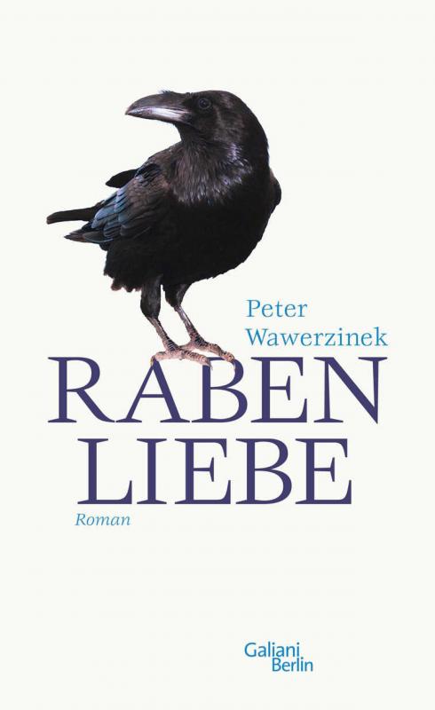Cover-Bild Rabenliebe