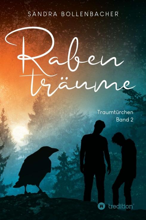 Cover-Bild Rabenträume – Traumtürchen Band 2