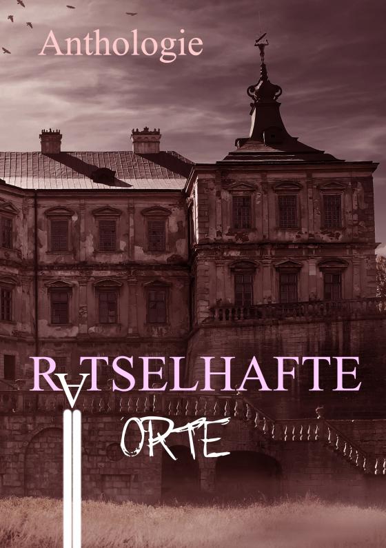 Cover-Bild Rätselhafte Orte