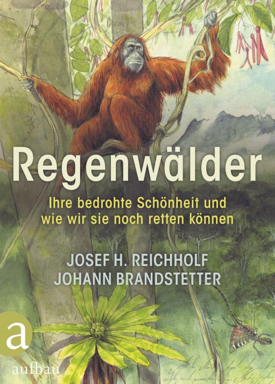 Cover-Bild Regenwälder