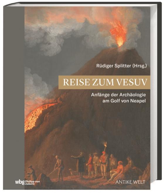 Cover-Bild Reise zum Vesuv