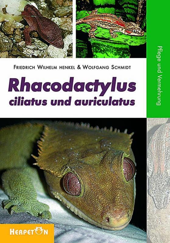 Cover-Bild Rhacodactylus ciliatus und auriculatus