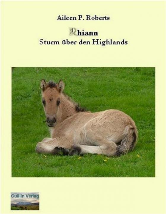 Cover-Bild Rhiann - Sturm über den Highlands