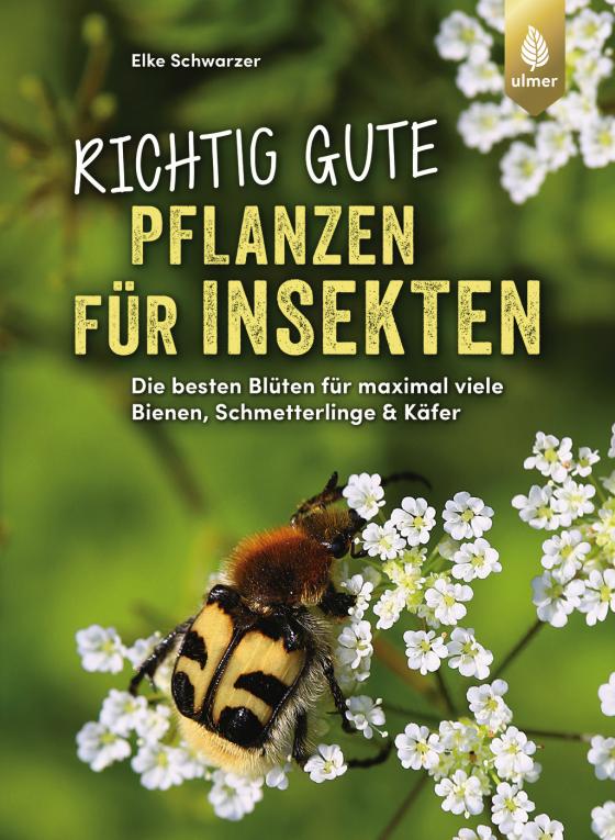 Cover-Bild Richtig gute Pflanzen für Insekten