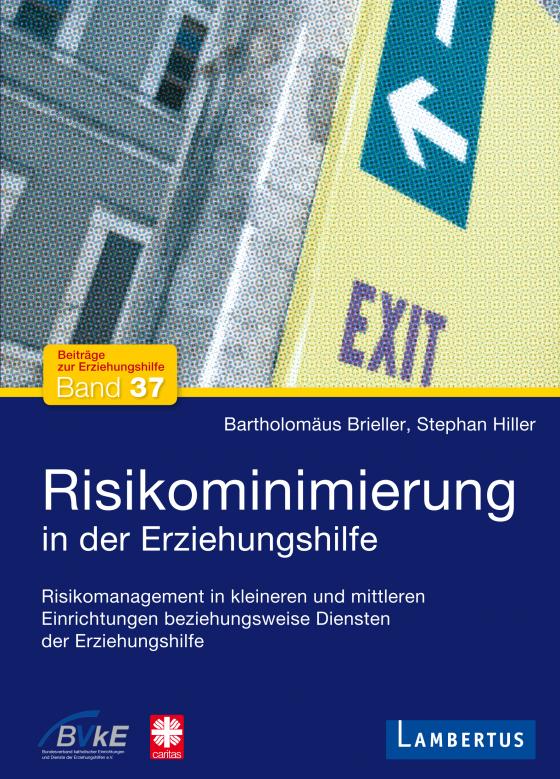 Cover-Bild Risikominimierung in der Erziehungshilfe