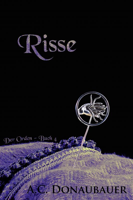 Cover-Bild Risse