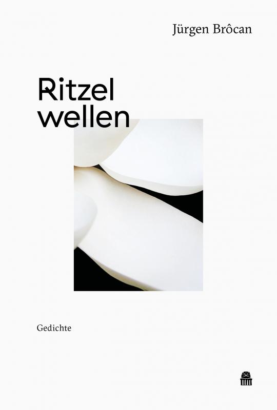 Cover-Bild Ritzelwellen