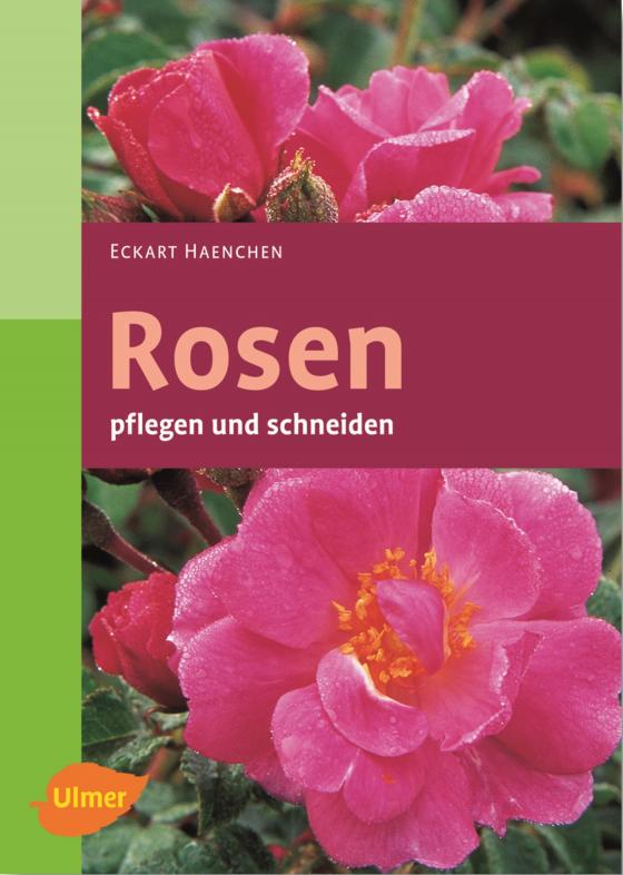 Cover-Bild Rosen pflegen und schneiden