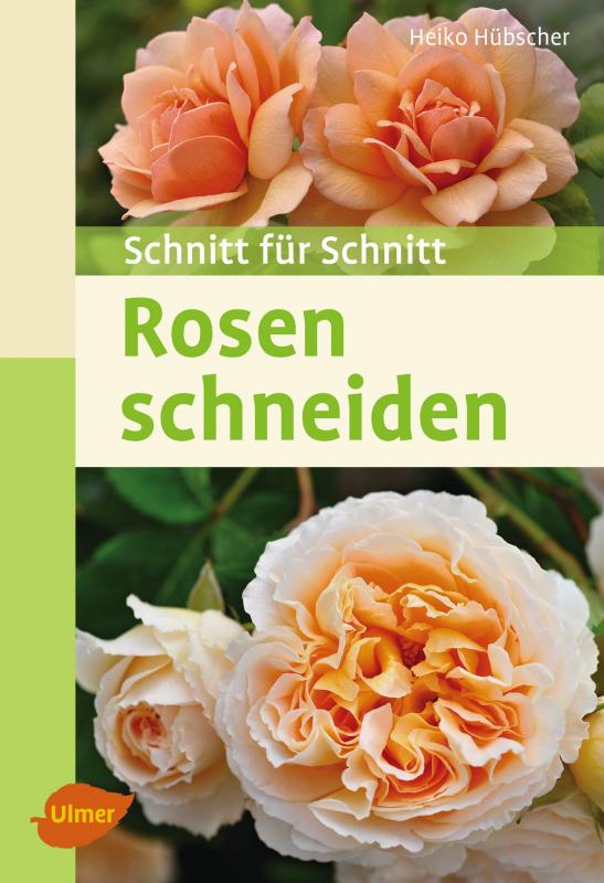 Cover-Bild Rosen schneiden