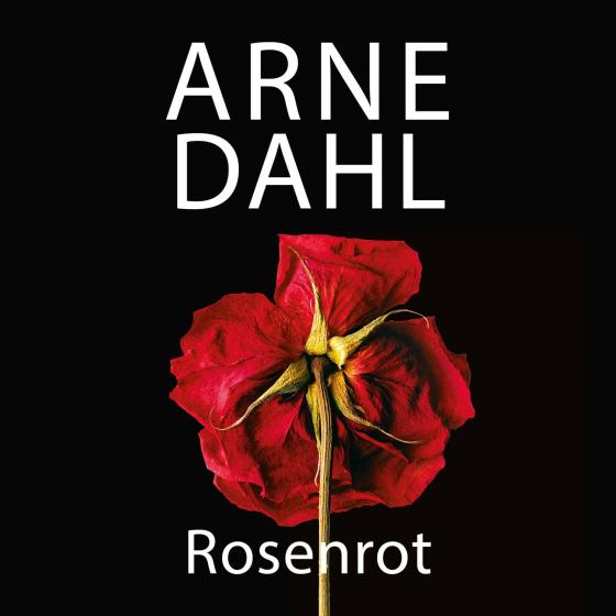 Cover-Bild Rosenrot (A-Team 5)