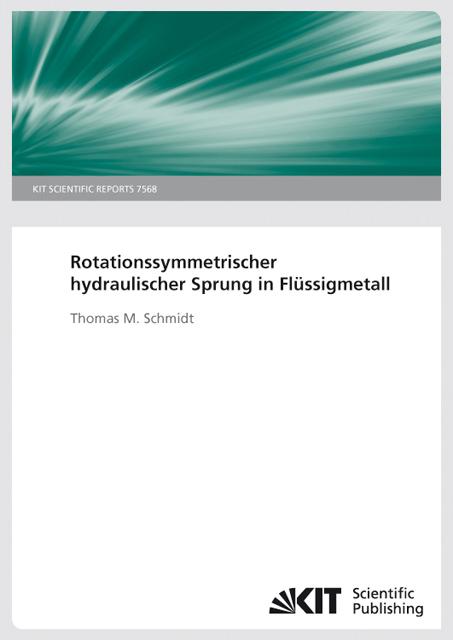 Cover-Bild Rotationssymmetrischer hydraulischer Sprung in Flüssigmetall. (KIT Scientific Reports ; 7568)