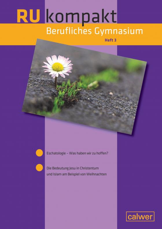 Cover-Bild RU kompakt Berufliches Gymnasium Heft 3