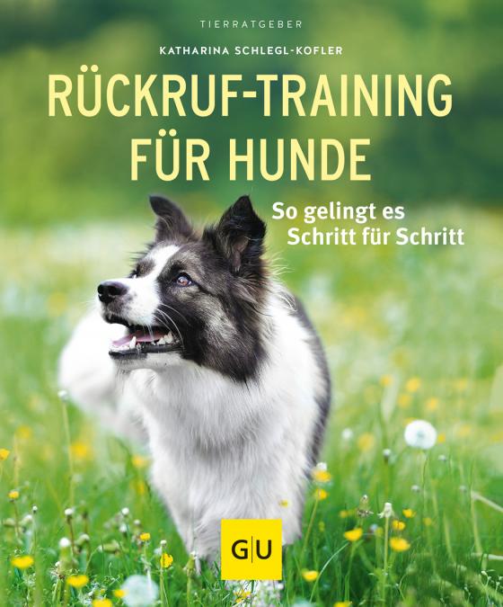 Cover-Bild Rückruf-Training für Hunde