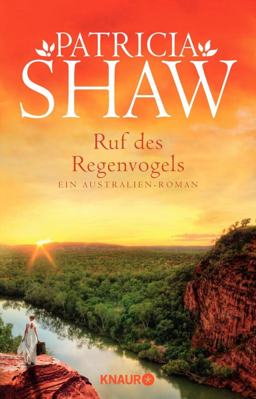 Cover-Bild Ruf des Regenvogels