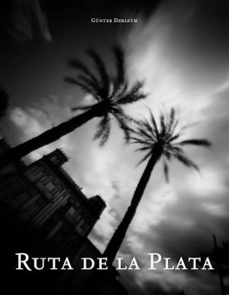 Cover-Bild Ruta de la Plata