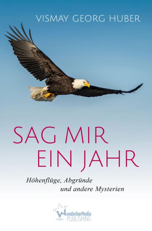 Cover-Bild Sag mir ein Jahr