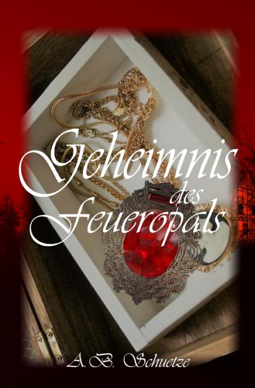 Cover-Bild Salwidizer / „Geheimnis des Feueropals“