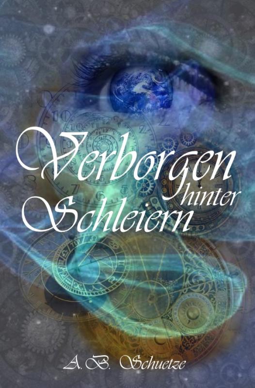 Cover-Bild Salwidizer / „Verborgen hinter Schleiern“