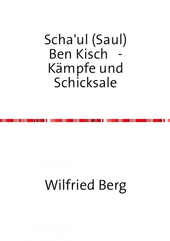 Cover-Bild Scha'ul (Saul) Ben Kisch - Kämpfe und Schicksale