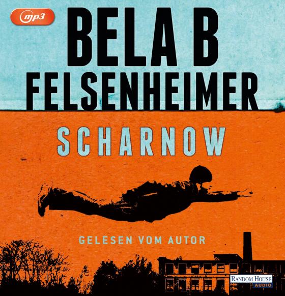 Cover-Bild Scharnow