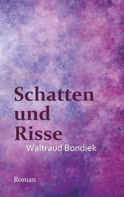 Cover-Bild Schatten und Risse