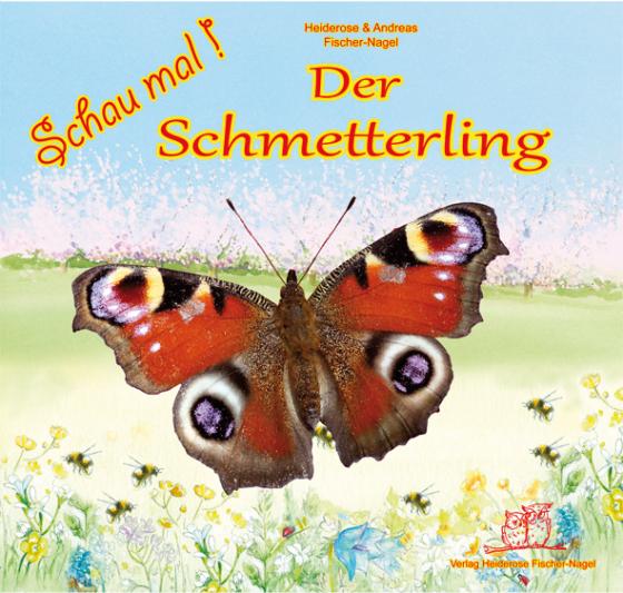 Cover-Bild Schau mal ! / Schau mal Der Schmetterling