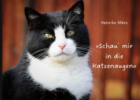 Cover-Bild Schau´ mir in die Katzenaugen