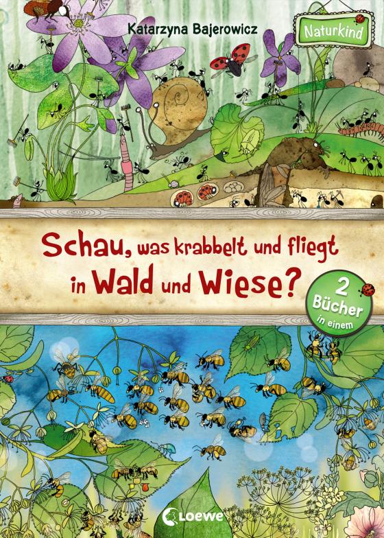 Cover-Bild Schau, was krabbelt und fliegt in Wald und Wiese?