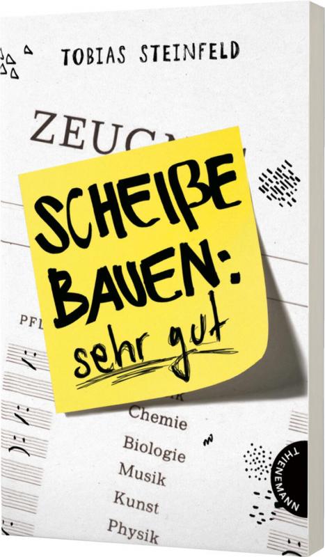 Cover-Bild Scheiße bauen: sehr gut