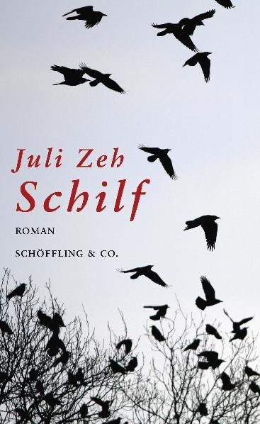 Cover-Bild Schilf (Gebundene Ausgabe)