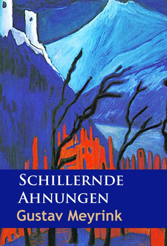 Cover-Bild Schillernde Ahnungen