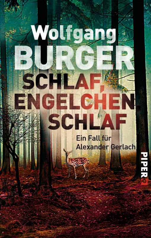 Cover-Bild Schlaf, Engelchen, schlaf