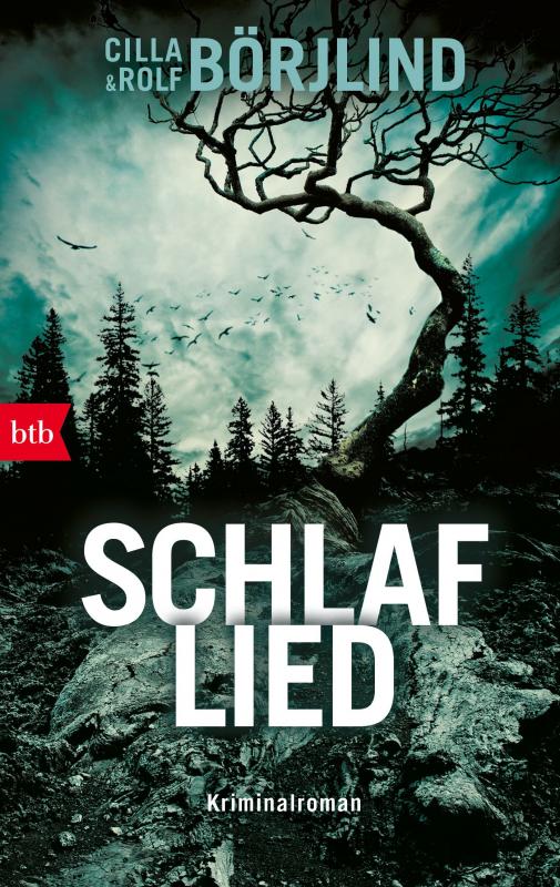 Cover-Bild Schlaflied