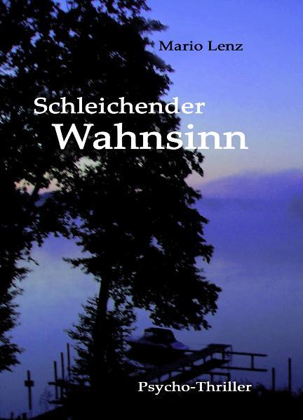 Cover-Bild Schleichender Wahnsinn