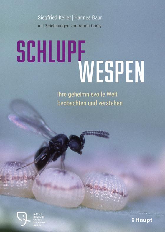 Cover-Bild Schlupfwespen