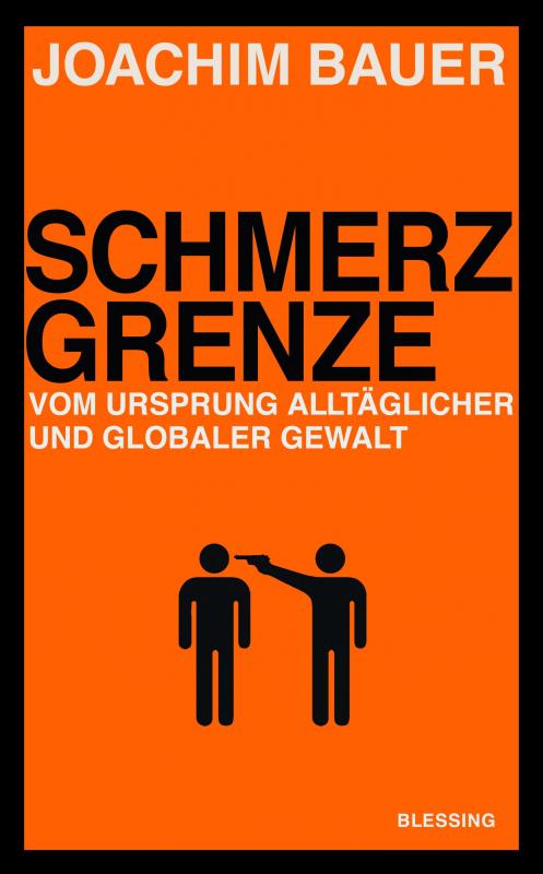 Cover-Bild Schmerzgrenze