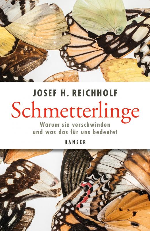 Cover-Bild Schmetterlinge