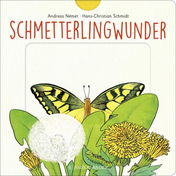 Cover-Bild Schmetterlingwunder