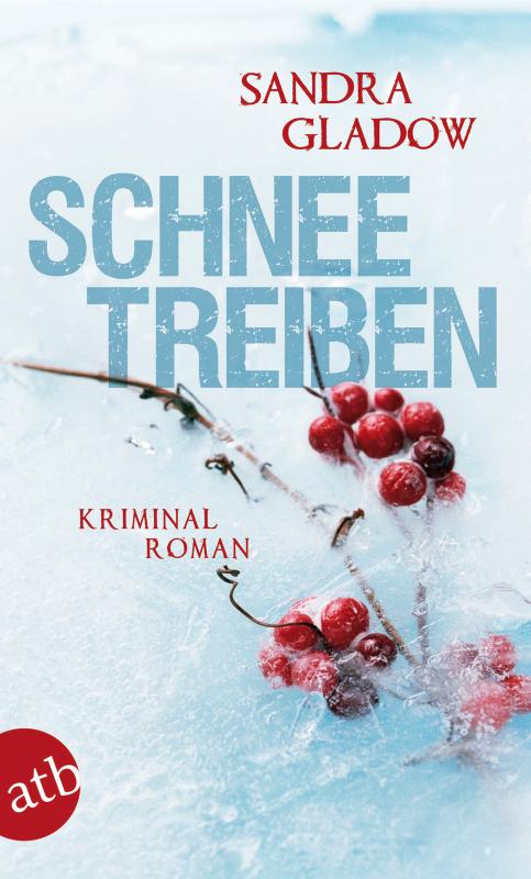 Cover-Bild Schneetreiben