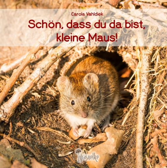 Cover-Bild Schön, dass du da bist, kleine Maus!