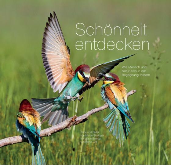 Cover-Bild Schönheit entdecken