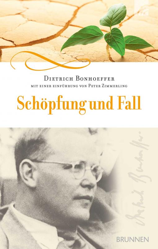 Cover-Bild Schöpfung und Fall