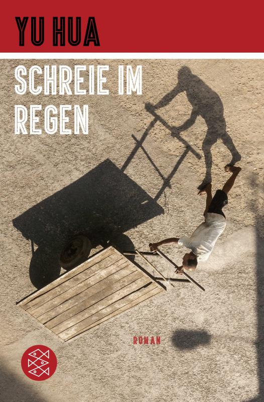 Cover-Bild Schreie im Regen